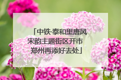 中铁·泰和里唐风宋韵主题街区开市 郑州再添好去处