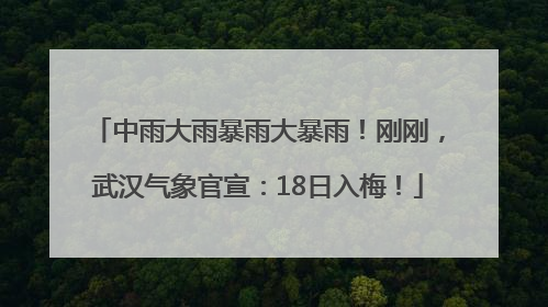 中雨大雨暴雨大暴雨！刚刚，武汉气象官宣：18日入梅！