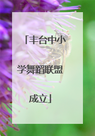 丰台中小学舞蹈联盟成立