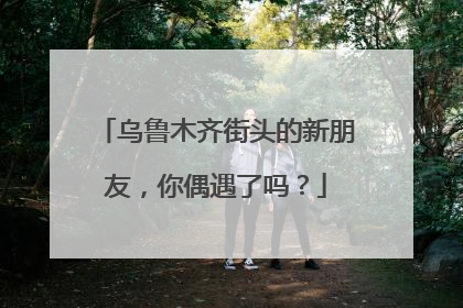 乌鲁木齐街头的新朋友，你偶遇了吗？
