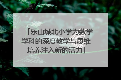 乐山城北小学为数学学科的深度教学与思维培养注入新的活力