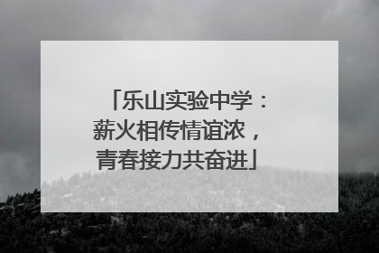 乐山实验中学：薪火相传情谊浓，青春接力共奋进