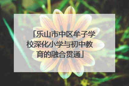 乐山市中区牟子学校深化小学与初中教育的融合贯通