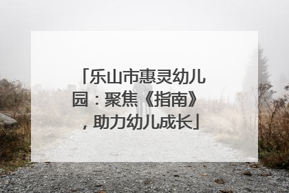 乐山市惠灵幼儿园：聚焦《指南》，助力幼儿成长