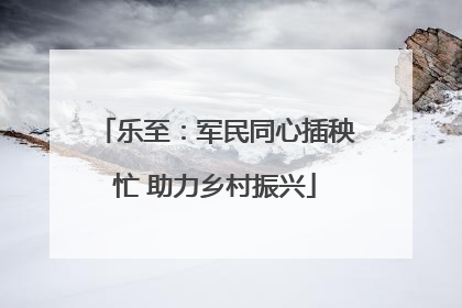 乐至：军民同心插秧忙 助力乡村振兴
