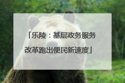 乐陵：基层政务服务改革跑出便民新速度
