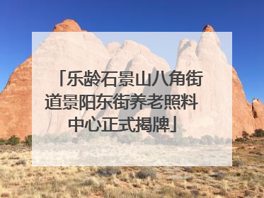 乐龄石景山八角街道景阳东街养老照料中心正式揭牌