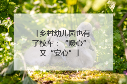 乡村幼儿园也有了校车：“暖心”又“安心”