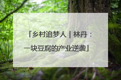 乡村追梦人｜林丹：一块豆腐的产业逆袭