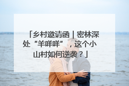 乡村邀请函｜密林深处“羊咩咩”，这个小山村如何逆袭？