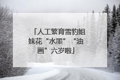 人工繁育雪豹姐妹花“水墨”“油画”六岁啦