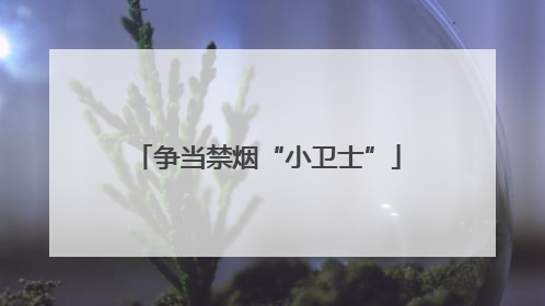 争当禁烟“小卫士”