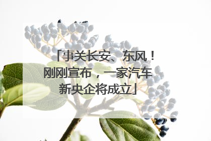 事关长安、东风！刚刚宣布，一家汽车新央企将成立