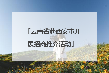 云南省赴西安市开展招商推介活动