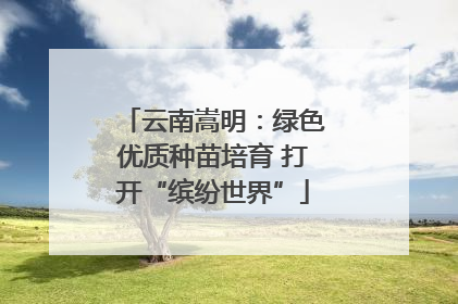 云南嵩明：绿色优质种苗培育 打开“缤纷世界”