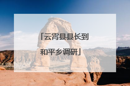 云霄县县长到和平乡调研
