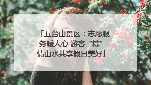 五台山景区：志愿服务暖人心 游客“粽”情山水共享假日美好