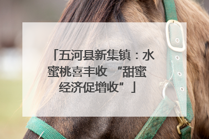 五河县新集镇：水蜜桃喜丰收 “甜蜜经济促增收”
