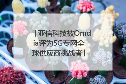 亚信科技被Omdia评为5G专网全球供应商挑战者