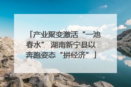 产业聚变激活“一池春水” 湖南新宁县以奔跑姿态“拼经济”