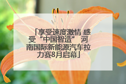 享受速度激情 感受“中国智造” 河南国际新能源汽车拉力赛8月启幕