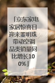 京东家电家居惊喜日迎来董明珠 带动空调品类销量同比增长100%