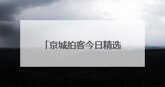 京城拍客今日精选｜蜻蜓早立尖尖角 尽赏夏荷气度华