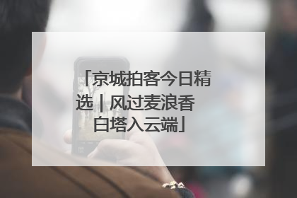 京城拍客今日精选｜风过麦浪香 白塔入云端