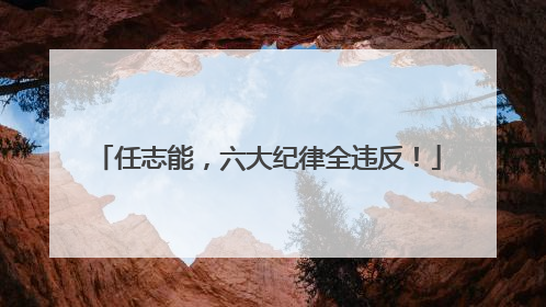 任志能，六大纪律全违反！