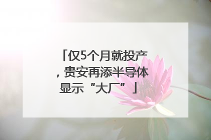 仅5个月就投产，贵安再添半导体显示“大厂”
