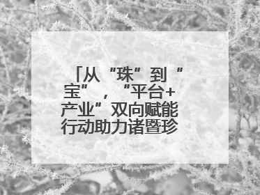 从“珠”到“宝”，“平台+产业”双向赋能行动助力诸暨珍珠升级蜕变