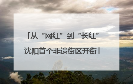从“网红”到“长红” 沈阳首个非遗街区开街