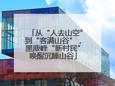 从“人去山空”到“客满山谷”，黑麋峰“新村民”唤醒沉睡山谷