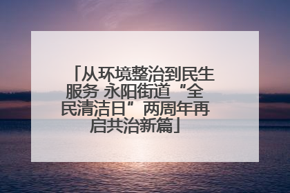 从环境整治到民生服务 永阳街道“全民清洁日”两周年再启共治新篇