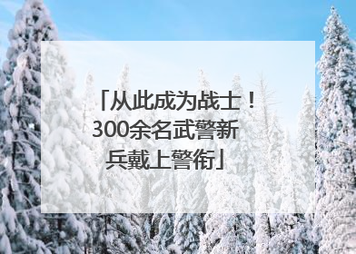 从此成为战士！300余名武警新兵戴上警衔
