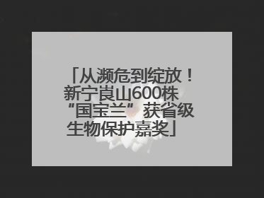 从濒危到绽放！新宁崀山600株“国宝兰”获省级生物保护嘉奖