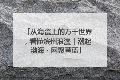 从海瓷上的万千世界，看懂滨州浪漫｜潮起渤海・网聚黄蓝