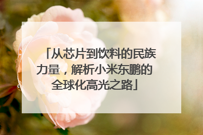 从芯片到饮料的民族力量，解析小米东鹏的全球化高光之路