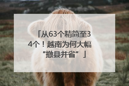 从63个精简至34个！越南为何大幅“撤县并省”