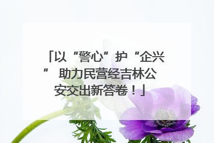 以“警心”护“企兴” 助力民营经吉林公安交出新答卷！