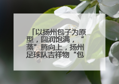 以扬州包子为原型，圆润饱满，“蒸”腾向上，扬州足球队吉祥物“包赢”亮相即售罄