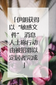 伊朗获得以“敏感文件” 消息人士称行动由被招募以定居者完成