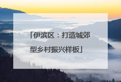 伊滨区：打造城郊型乡村振兴样板