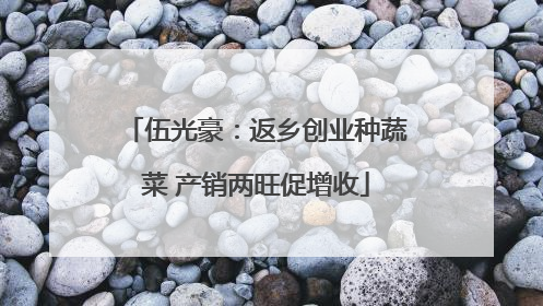 伍光豪：返乡创业种蔬菜 产销两旺促增收