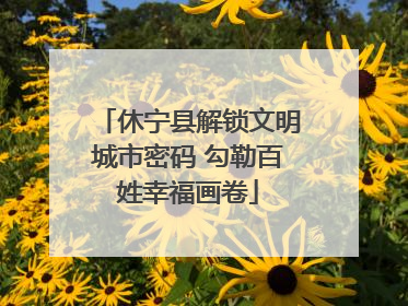 休宁县解锁文明城市密码 勾勒百姓幸福画卷