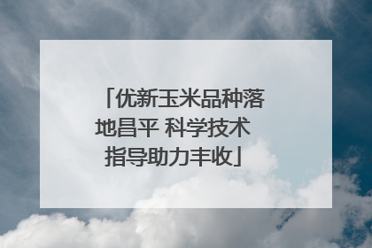 优新玉米品种落地昌平 科学技术指导助力丰收