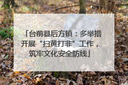 台前县后方镇：多举措开展“扫黄打非”工作，筑牢文化安全防线