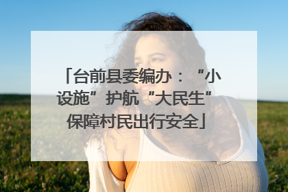 台前县委编办：“小设施”护航“大民生” 保障村民出行安全
