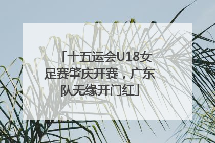 十五运会U18女足赛肇庆开赛，广东队无缘开门红