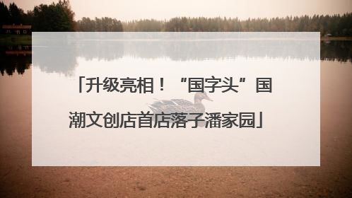 升级亮相！“国字头”国潮文创店首店落子潘家园